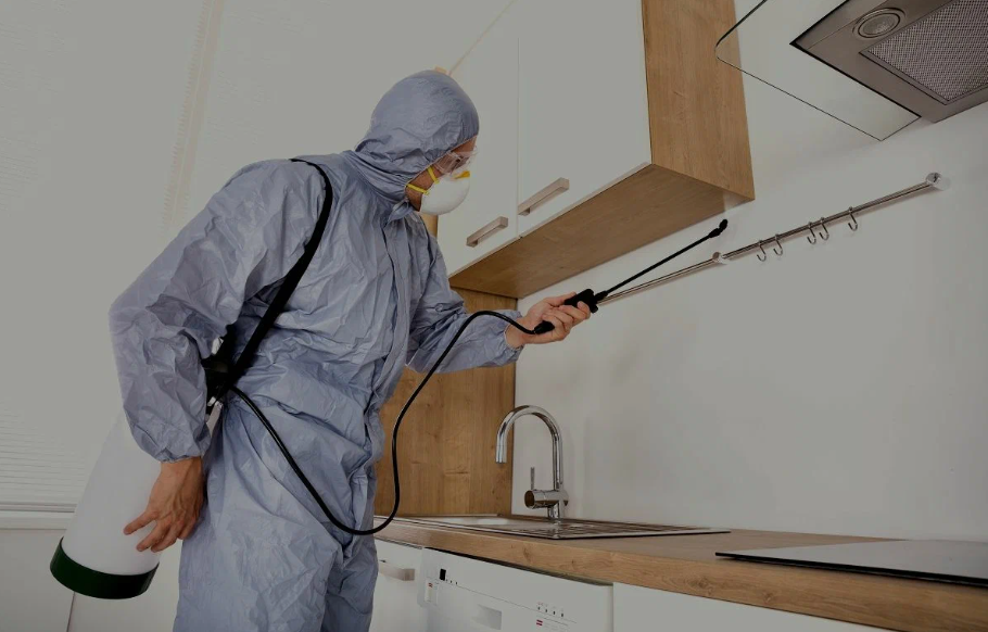 Hermosa Beach pest managment